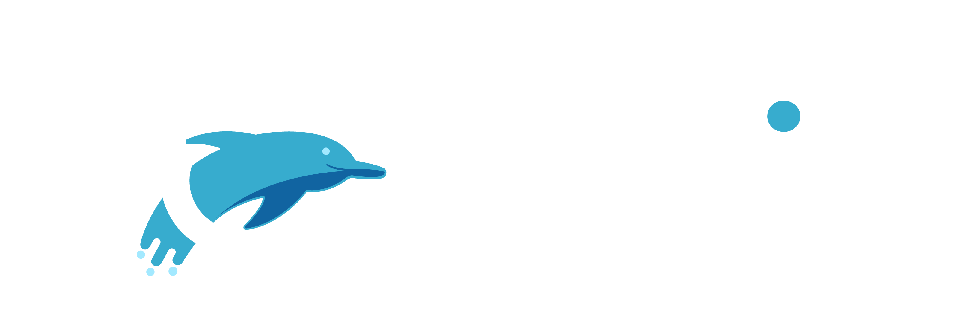 Leads Dolphin